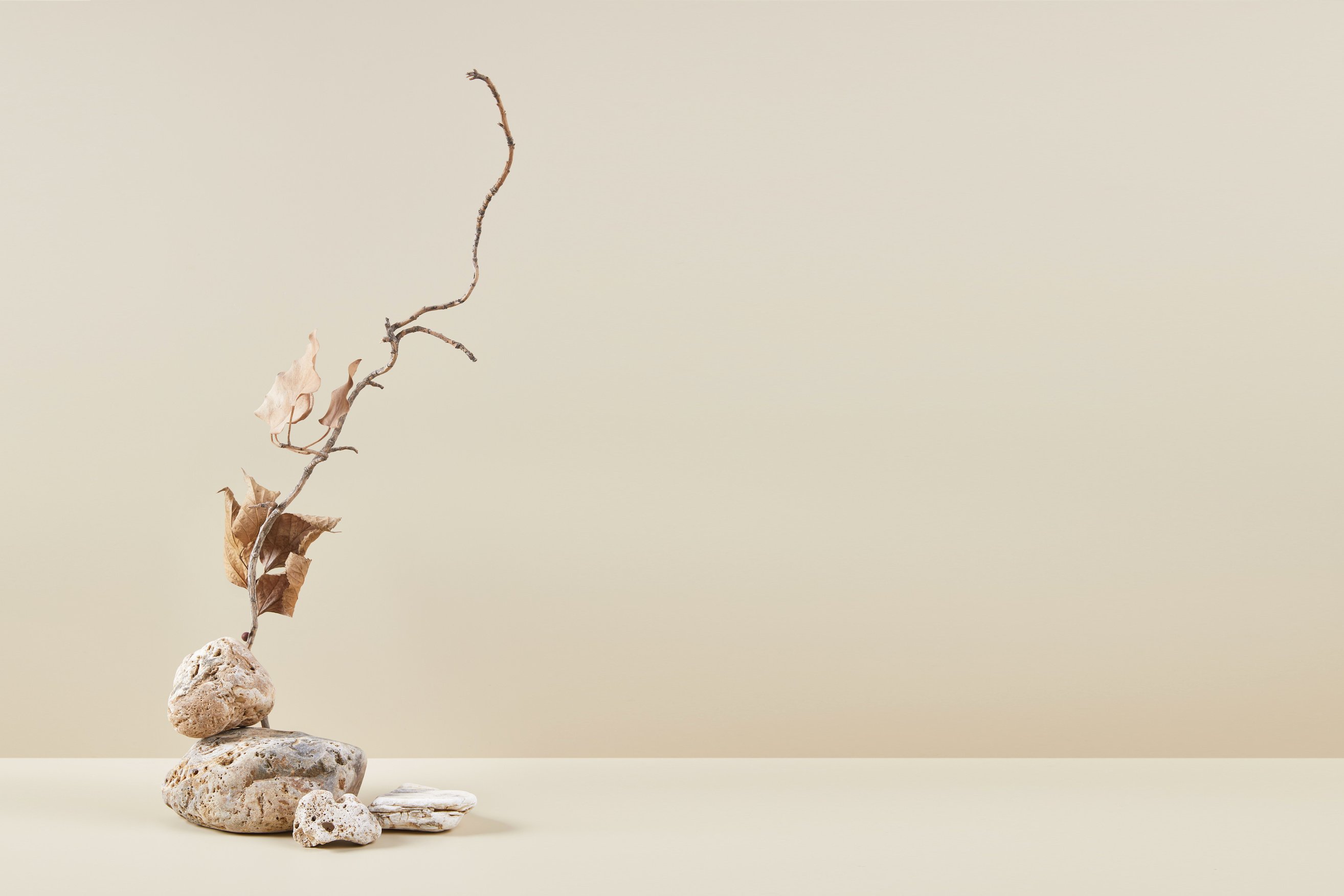 Nature Scene with Composition of Stones and Dry Branch